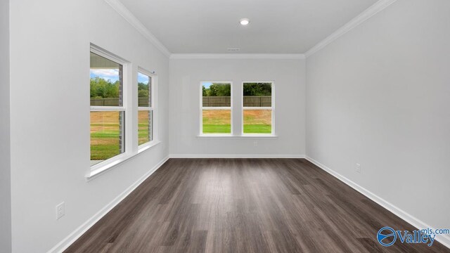 spare room featuring crown molding, dark hardwood / wood-style flooring, and a healthy amount of sunlight