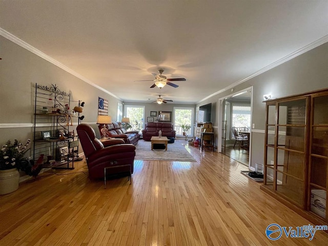 living area featuring ceiling fan, wood-type flooring, and ornamental molding
