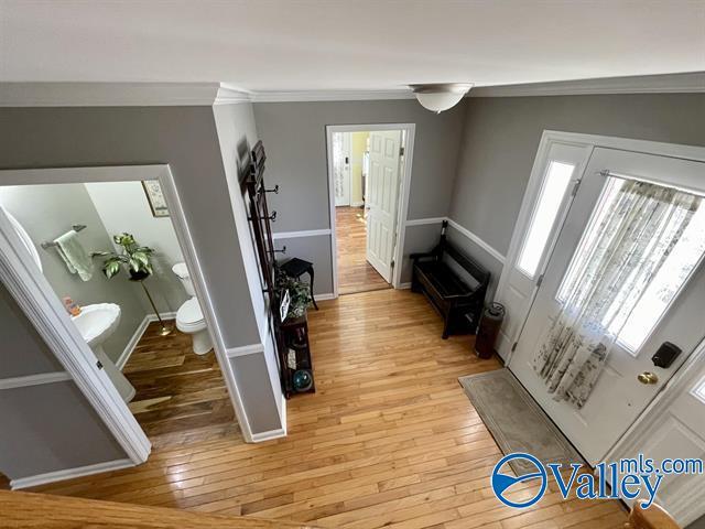 foyer entrance featuring crown molding, baseboards, and light wood-style floors
