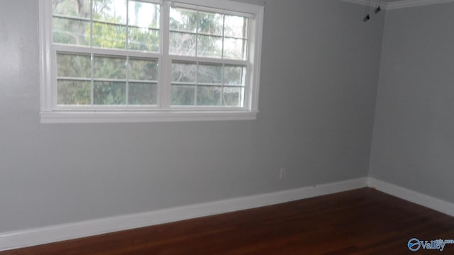 spare room featuring dark wood-type flooring