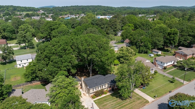 10012 Allison Dr, Huntsville, AL 35803 - drone / aerial view of a forest
