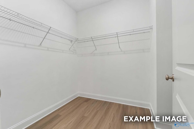 433 Lando Cain Rd, Hartselle, AL 35640 - walk in closet with wood finished floors