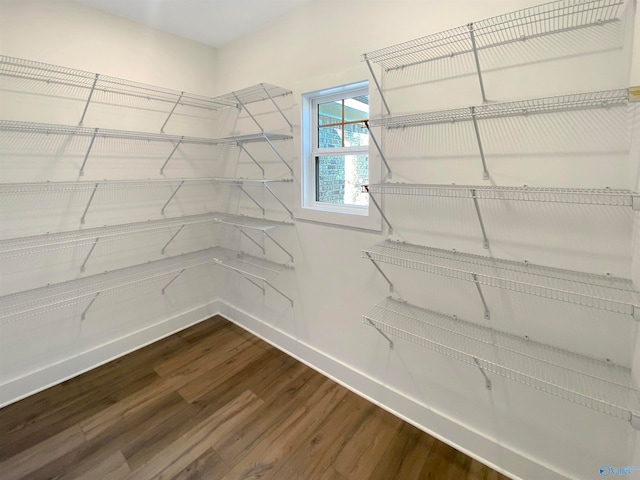 spacious closet featuring hardwood / wood-style floors