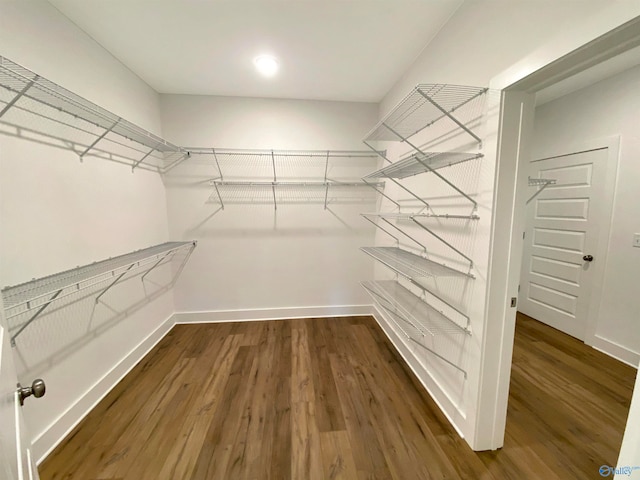 spacious closet featuring dark hardwood / wood-style floors