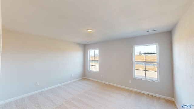 spare room with light colored carpet and plenty of natural light