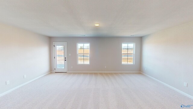 spare room featuring light carpet