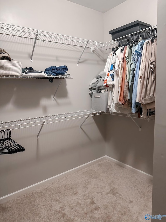 spacious closet with carpet flooring