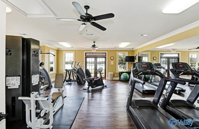 gym featuring dark hardwood / wood-style floors, ornamental molding, and french doors