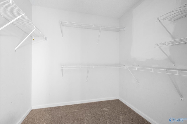 127 Patdean Dr, Huntsville, AL 35811 - spacious closet featuring carpet floors