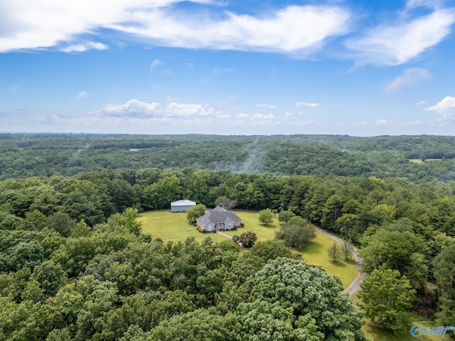 227 Key Turney Rd, Falkville, AL 35622 - drone / aerial view