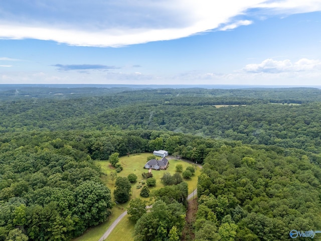 227 Key Turney Rd, Falkville, AL 35622 - bird's eye view