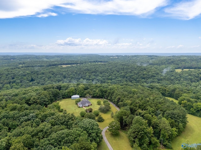 227 Key Turney Rd, Falkville, AL 35622 - birds eye view of property