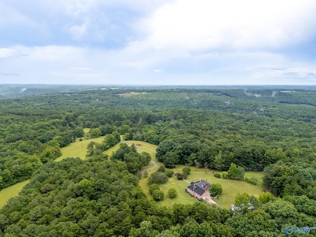 227 Key Turney Rd, Falkville, AL 35622 - aerial view