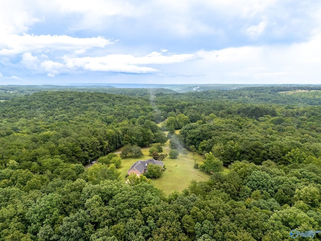 227 Key Turney Rd, Falkville, AL 35622 - aerial view