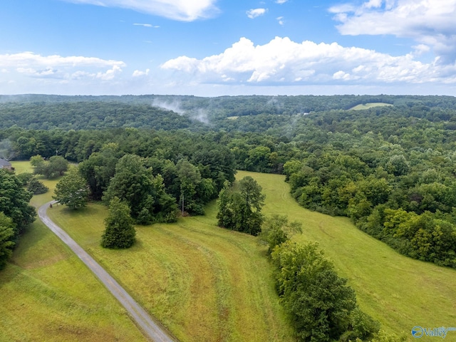 227 Key Turney Rd, Falkville, AL 35622 - birds eye view of property