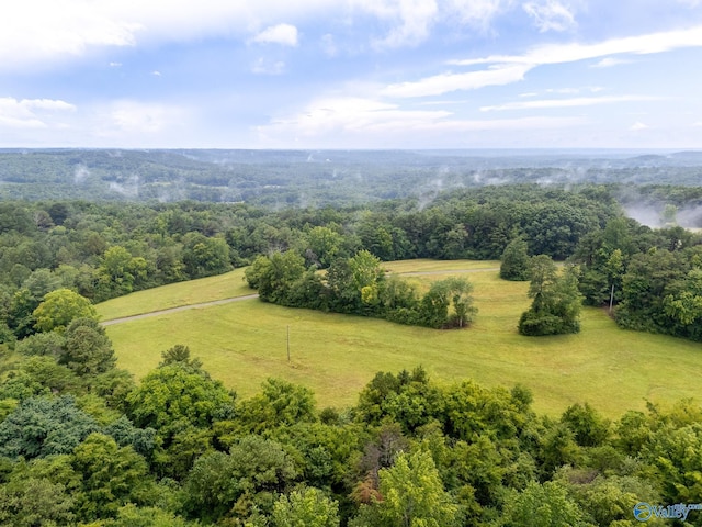 227 Key Turney Rd, Falkville, AL 35622 - drone / aerial view