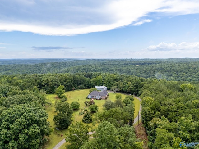 227 Key Turney Rd, Falkville, AL 35622 - aerial view