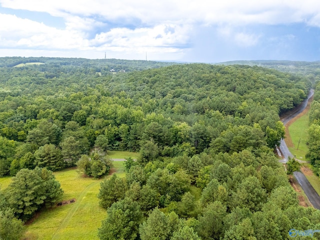 227 Key Turney Rd, Falkville, AL 35622 - drone / aerial view