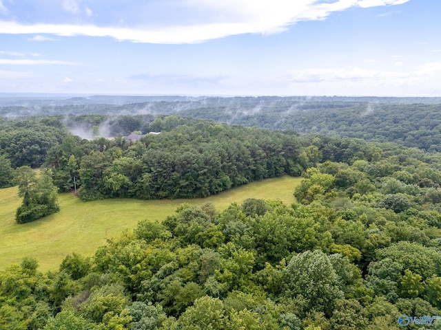 227 Key Turney Rd, Falkville, AL 35622 - aerial view