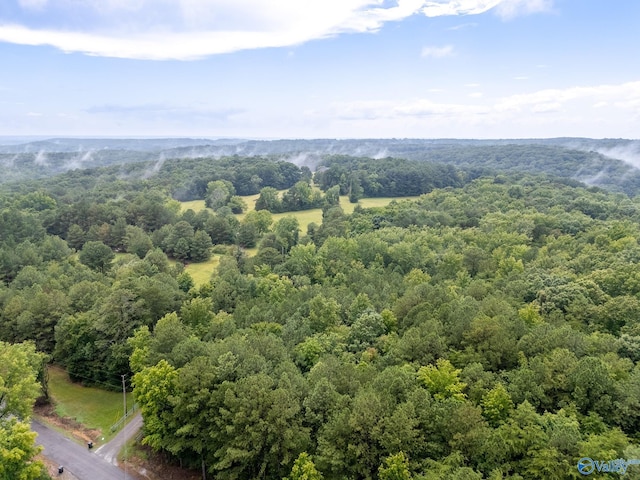 227 Key Turney Rd, Falkville, AL 35622 - birds eye view of property
