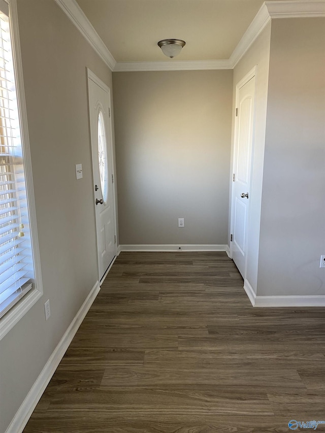 foyer entrance featuring crown molding, dark wood finished floors, and a healthy amount of sunlight