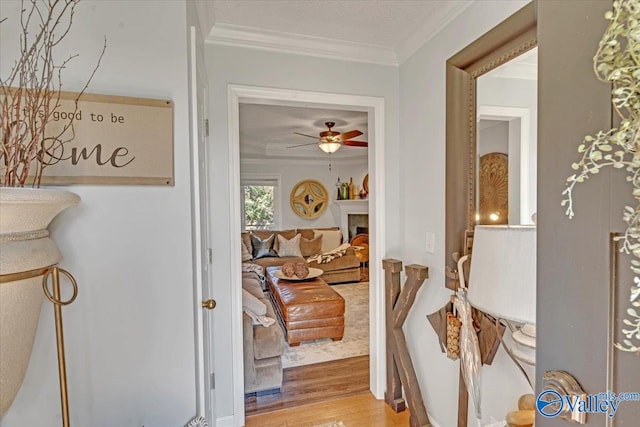 hall featuring hardwood / wood-style floors and ornamental molding