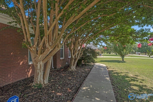 view of property exterior with a lawn