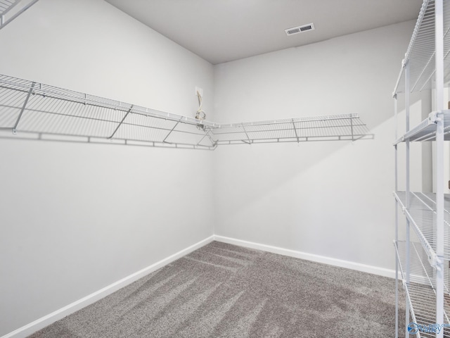 walk in closet featuring carpet flooring