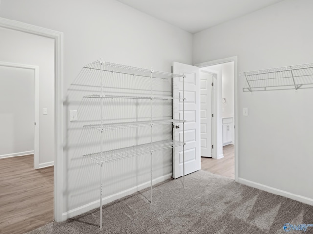 spacious closet featuring light colored carpet