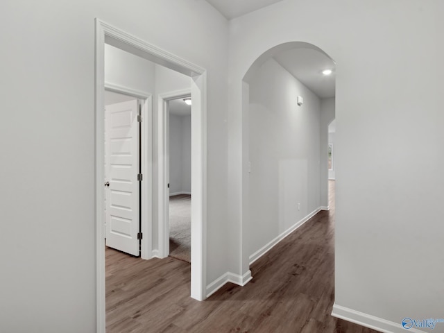 hallway featuring dark hardwood / wood-style flooring