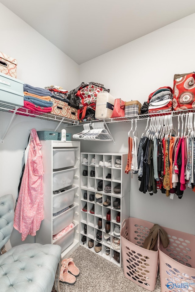 spacious closet with carpet flooring
