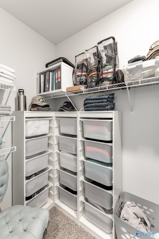 view of walk in closet