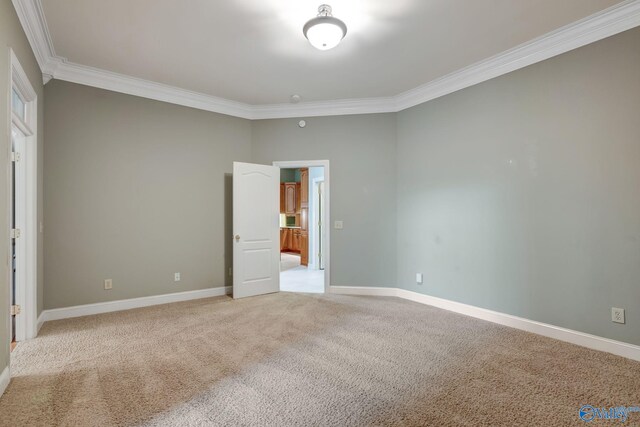 spare room featuring light colored carpet, crown molding, and baseboards