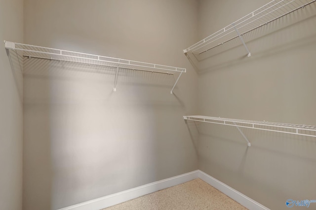 view of walk in closet