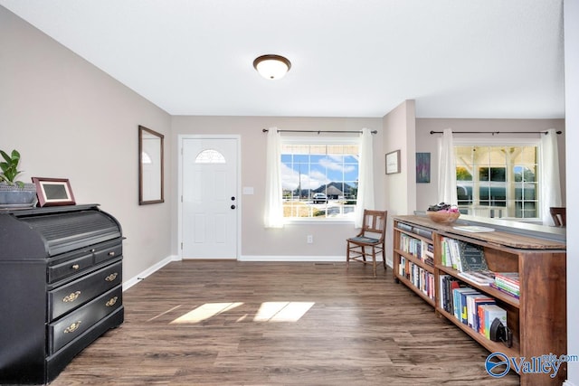 foyer with dark hardwood / wood-style flooring