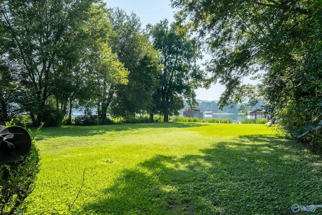 view of yard featuring a water view