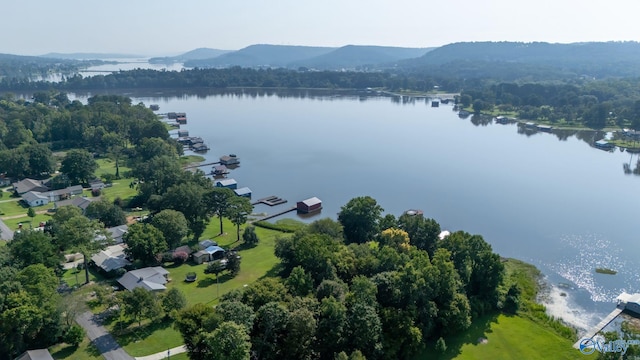 aerial view with a water view and a view of trees