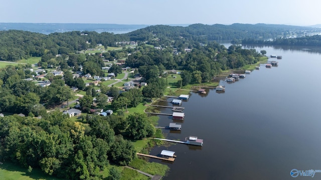 drone / aerial view featuring a water view and a wooded view