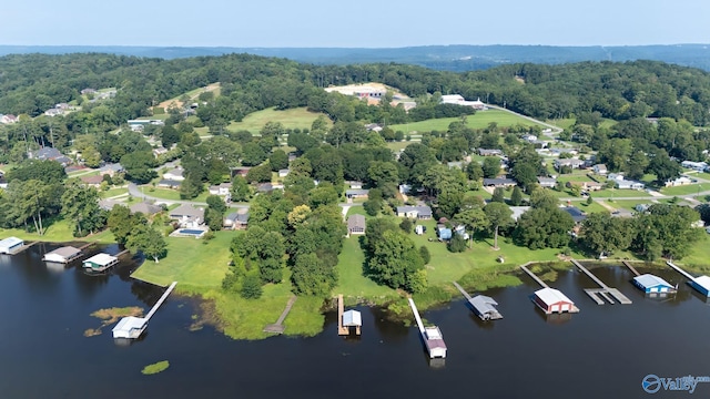 drone / aerial view with a water view and a view of trees