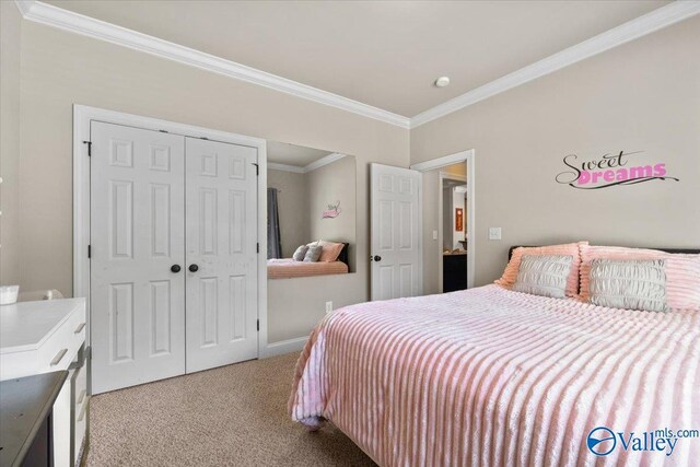 carpeted bedroom with crown molding, baseboards, and a closet