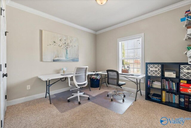 office featuring carpet floors, baseboards, and crown molding