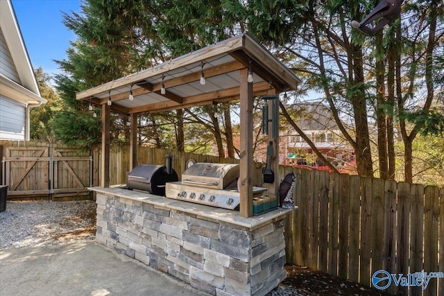 view of patio featuring a fenced backyard, area for grilling, and a grill