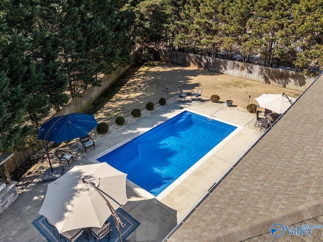 view of swimming pool featuring a patio area, a fenced backyard, and a fenced in pool