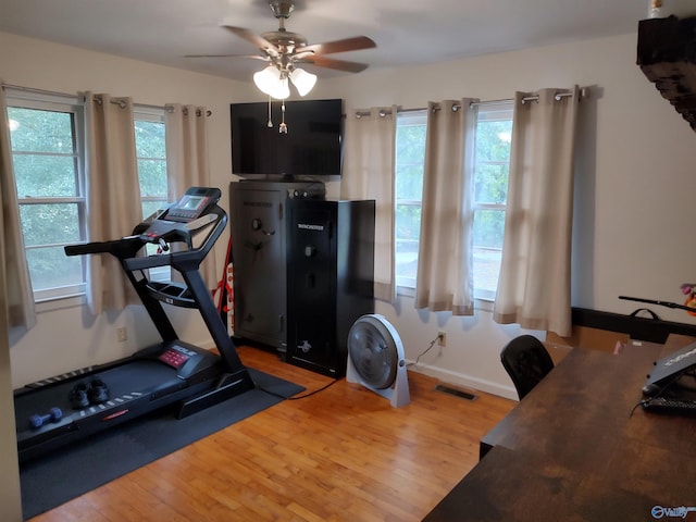 interior space featuring wood-type flooring, ceiling fan, and a wealth of natural light