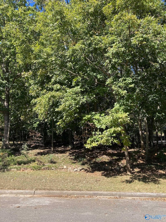 1725 NE Alm Dr, Huntsville AL, 35811 land for sale