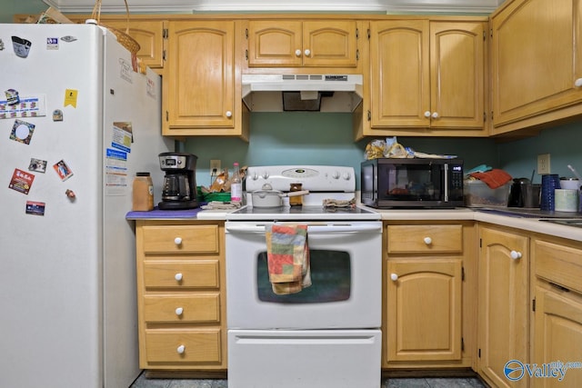 kitchen featuring white appliances