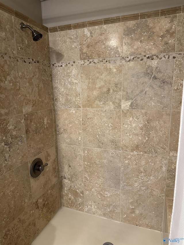 room details with a tile shower