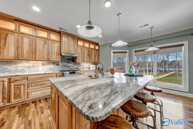 kitchen featuring sink, light stone counters, a center island with sink, and stainless steel range