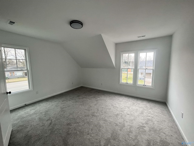 additional living space featuring carpet floors, baseboards, visible vents, and vaulted ceiling