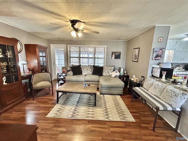 living area featuring crown molding, ceiling fan, and wood finished floors